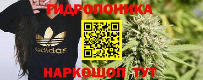 a pvp Гусев