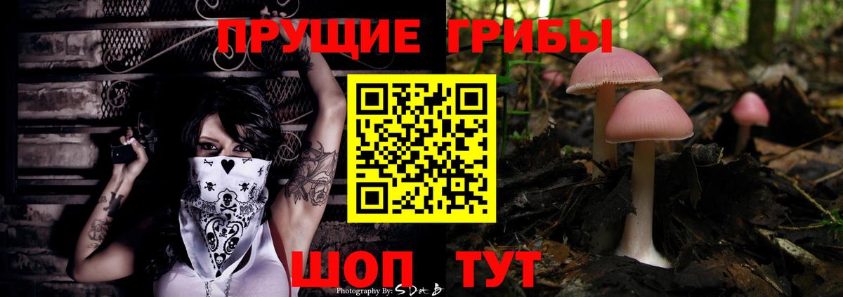 Псилоцибиновые грибы Cubensis  Псилоцибиновые грибы ЛСД  Вход с VPN  Нижний Тагил 