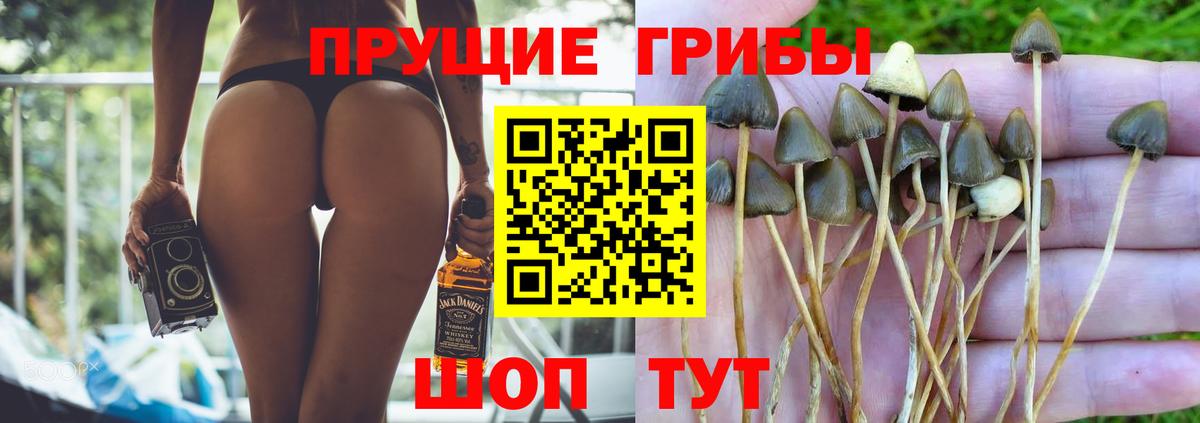 Псилоцибиновые грибы ЛСД Нижний Тагил